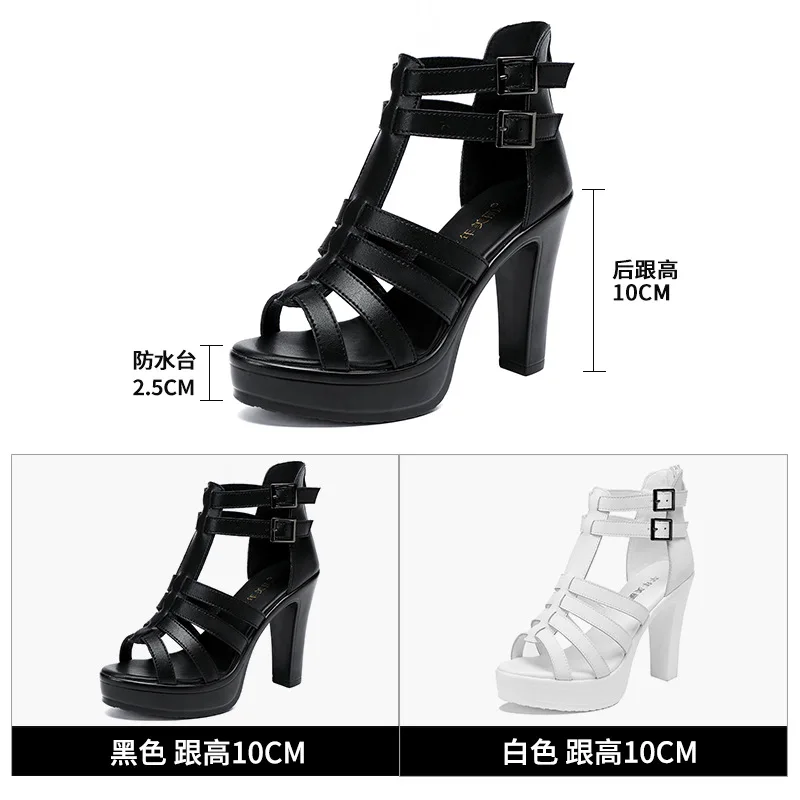 Gladiator Ladies Shoe for Wome - Women Fashion Ideas recensione e prezzo